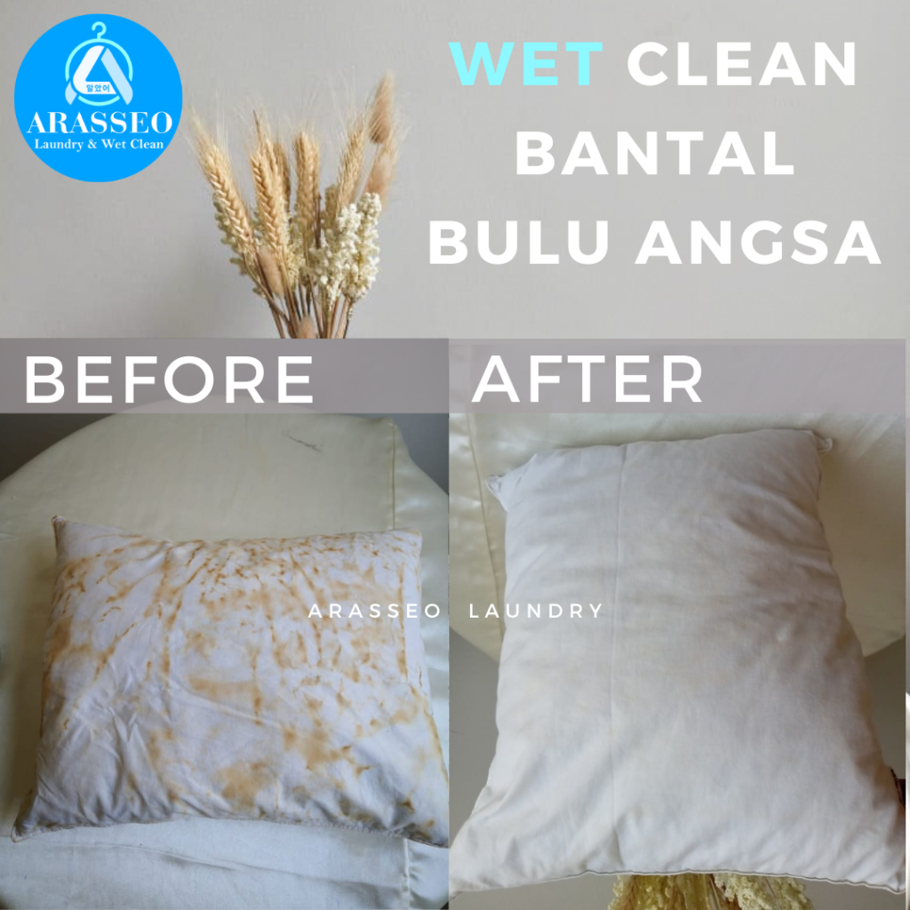 Foto Cuci Bantal Bulu Angsa satuan Aniva GS Arasseo Laundry